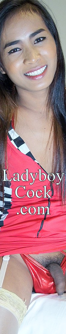 Ladyboy Cock - Ladyboy Guide